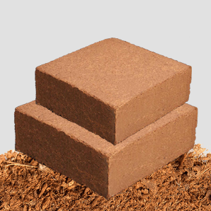 Coco Products Exporter in India